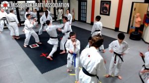 Shotokan Karate-do Training Live