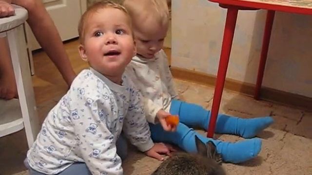 Приколы 2016г. Как научить детей есть овощи. Славные милашки. Кормим кролика. children смотреть онлайн