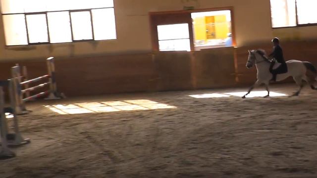 Маулетбеков Медет на Квин, 120 см. Кубок Казахстана 25,26-03-2021 смотреть онлайн