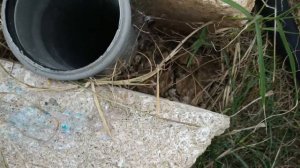 На что способен насос лобового стекла