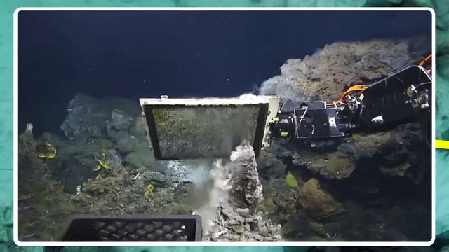 Ученые Поместили Стекло Внутрь Яйца Ската, И Вот Что Они Увидели смотреть онлайн