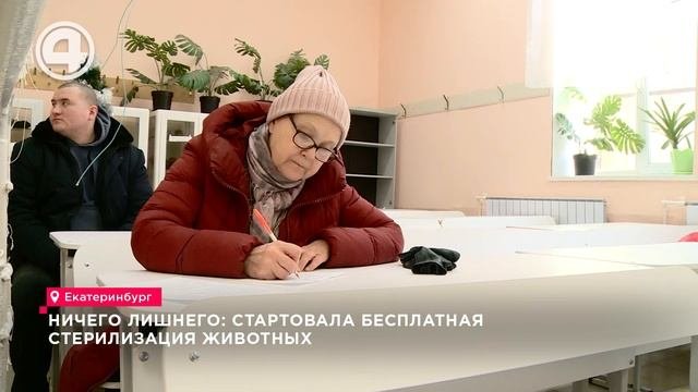 Ничего лишнего: стартовала бесплатная стерилизация животных