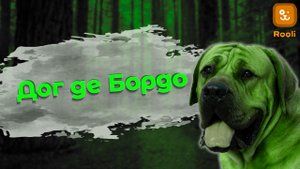 Сила и Охрана: Все о Доге де Бордо