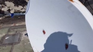 Нужно ли красить спутниковую антенну?
