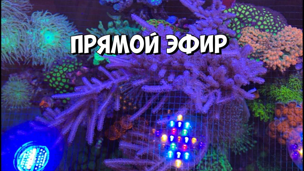 Море, море - мир бездонный :)