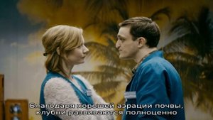 Как вырастить картофель по Митлайдеру на небольшом дачном участке