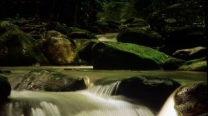 песенка Калина красная,калина горькая (пал туман во чисто поле) пою я