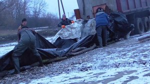 Зарыбление пруда Палатово Красногвардейский район