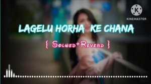 #bhojpuri #lofi #bhojpurisong #slowedreverb  || Song _- Lagelu Horha Ke Chana || #khesari Lal