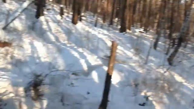 Жизнь в тайге не сахар. смотреть онлайн