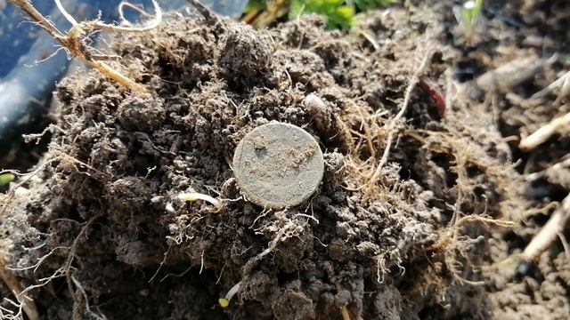 Два дня копа на месте старой деревни смотреть онлайн