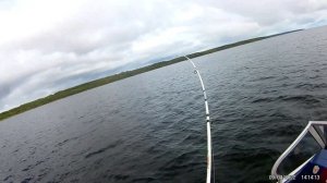 Выезд на троллинг на Ладогу...сентябрьская щука...