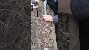 Обогрев земли в теплице.