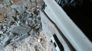 Белые индоутки