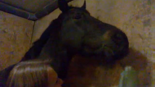 Сапа и массажная щетка смотреть онлайн