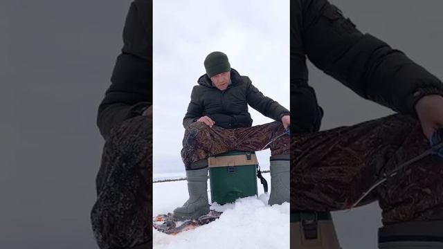 Турбаза Ковенская выезд на озеро Ендра смотреть онлайн