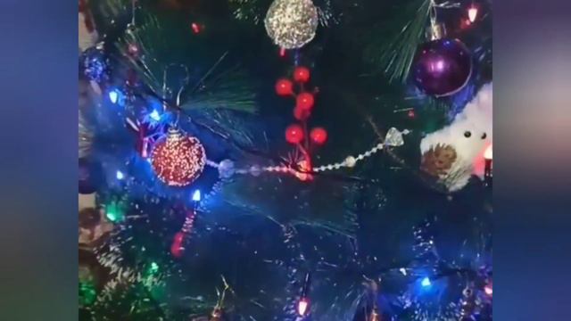 Символ 2023года! смотреть онлайн