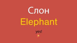 Слон по-английски