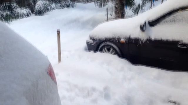 Делаем цветной лед Лепим и раскрашиваем скульптуры из снега Mishka Vlog #4