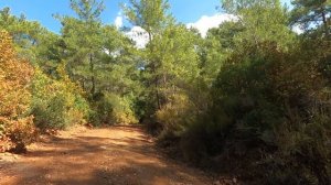 Мармарис. Прогулка в горы