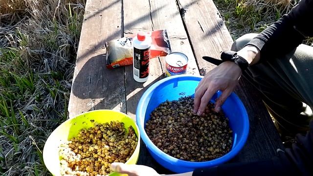 Чёрный карп на Флэт-Фидер. Подробно о моих снастях, прикормках, насадках и технике ловли/Водоем Ерш