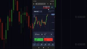 Платит!PO Trade broker краткий обзор