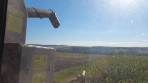 Уборка Яровой пшеницы Комбайном полесье  GS12 в 2023 что сыпет?