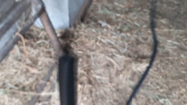 Проводим электричество, проводку в сарае. Как провести провод через защитный шланг. Ильгиз Шамратов смотреть онлайн