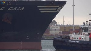 GIANT SHIPS at ROTTERDAM Port - 4K SHIPSPOTTING January 2022