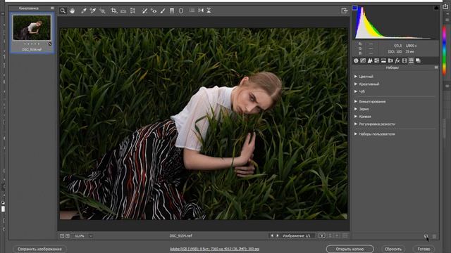 Как добавить LUTы в Adobe Camera RAW смотреть онлайн