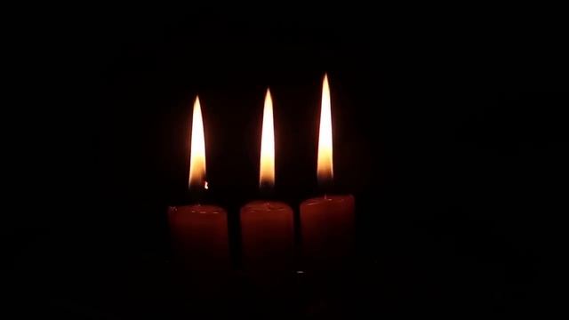 Hunter Found From Mysterious Wounds In BIGFOOT Territory | Over 1 Hour SASQUATCH ENCOUNTERS PODCAST смотреть онлайн