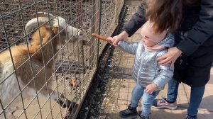 База отдыха Троицкое