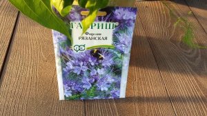 Почва как бетон. Как сделать землю мягкой, рыхлой, пушистой. Просто и не дорого.