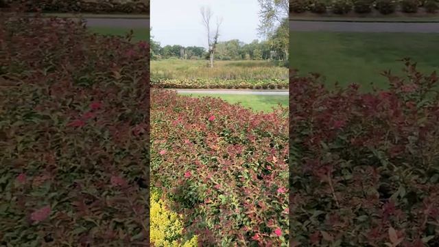 Patio Garden Tour смотреть онлайн