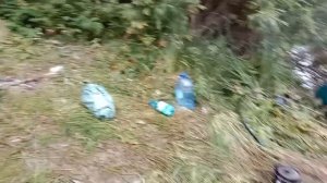 По таёжной реке.Сплав по Чумышу.
