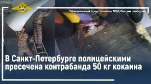 Ирина Волк: В Санкт-Петербурге полицейскими пресечена контрабанда 50 килограммов кокаина