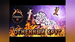 Horse-show 9-выпуск (Кнабструппер и Аппалуза)