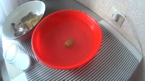 Сушим камбалу в домашних условиях. Самый простой рецепт. Сушеная камбала.Очень вкусно!