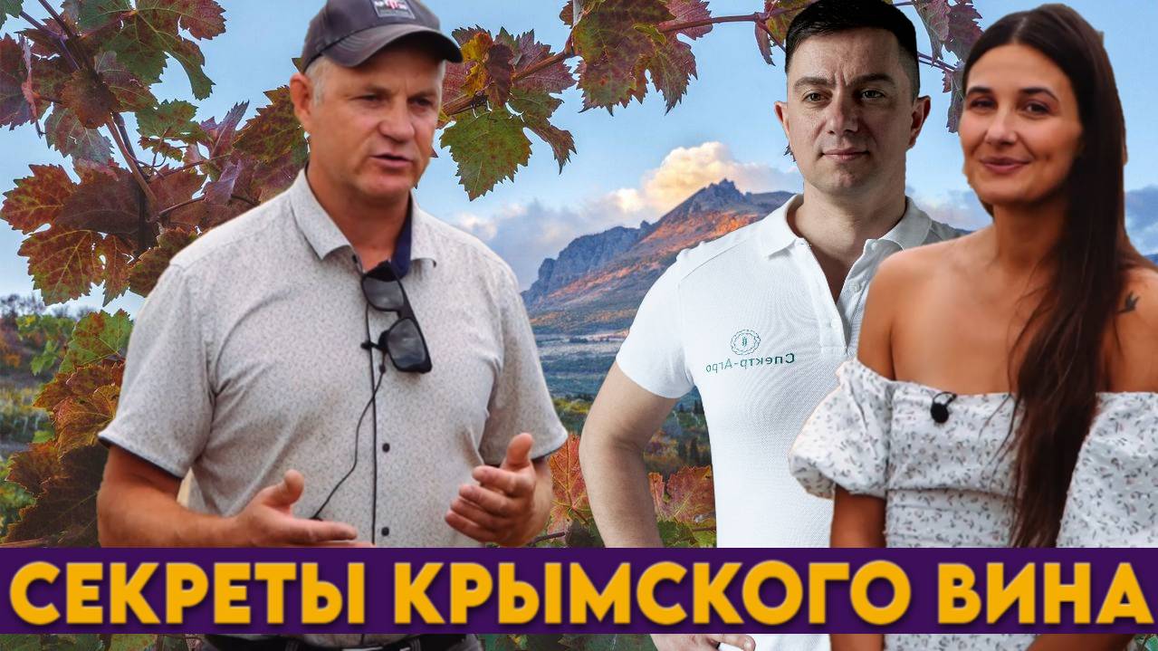 Производство вина от саженца до бокала. Ультрасовременный завод и терруары времен греков.