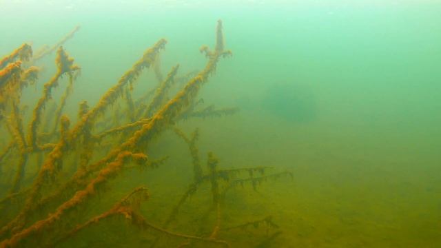 Свой пруд и его подводные обитатели. Строим пруд в деревне часть 27. смотреть онлайн