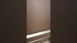 Дверь броня двухлистовая супер!!! Модель Камелот Браун.