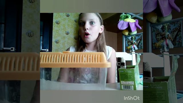 Моя черепашка Тото 🐢 смотреть онлайн