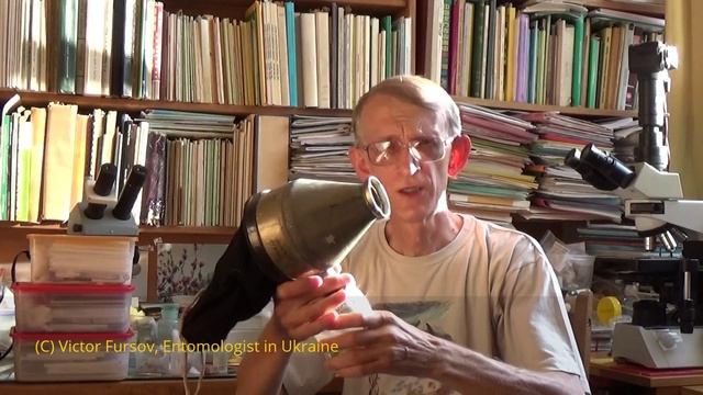 Энтомологу: Какие Использовать Методы Сборов и Хранения Насекомых?