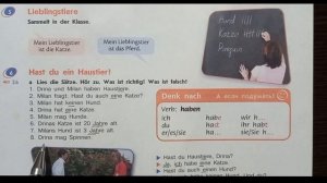 Немецкий язык 5 класс - учебник "Горизонты" Аверин 3 глава Hast du ein Haustier?