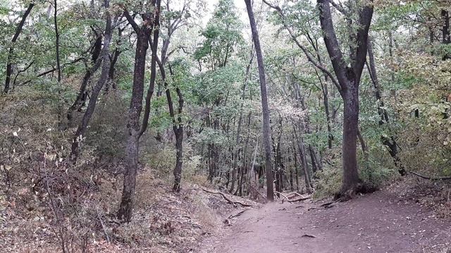 Пророческая река течёт ежедневно смотреть онлайн