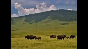 Home On The Range_Cowboy Song **(Harmonica)
