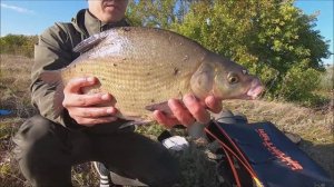 СУРСКИЕ ЛЕЩИ !