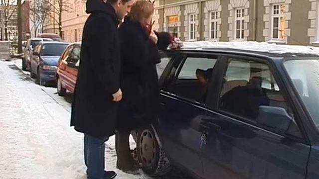 Дрессировка собак дома с нуля - Введение смотреть онлайн