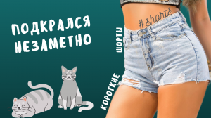 Подкрался незаметно.. ) #shorts