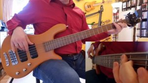 No Doubt - Spiderwebs Bass Cover with Warwick Rockbass Streamer 5